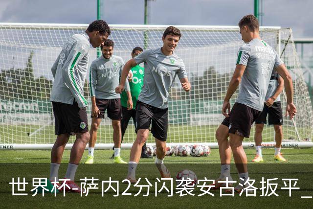 世界杯-萨内2分闪袭安古洛扳平 德国半场1-1厄瓜多尔
