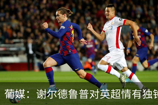 葡媒：谢尔德鲁普对英超情有独钟，俱乐部标价至少4000万欧